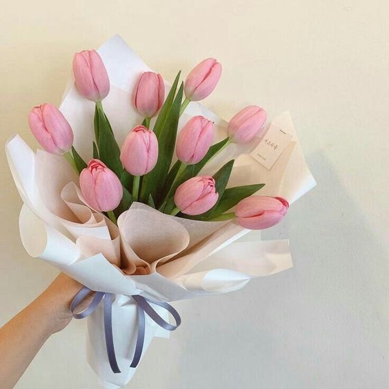 Các loại hoa Tulip và ý nghĩa của chúng